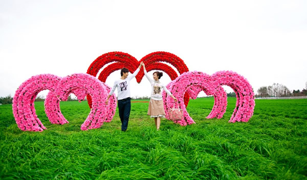 清明节小长假到百万葵园赏花玩乐！