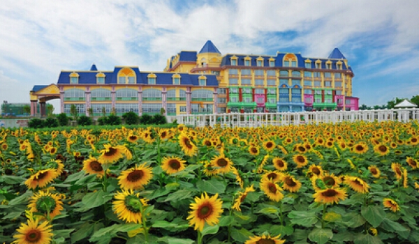 清明节旅游热门景点：番禺百万葵园