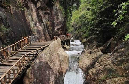 清明节旅游到白水寨踏青登高赏花