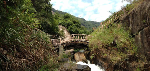 清明节踏青去增城白水寨一日游