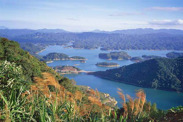 清明节从化流溪河国家森林公园踏青