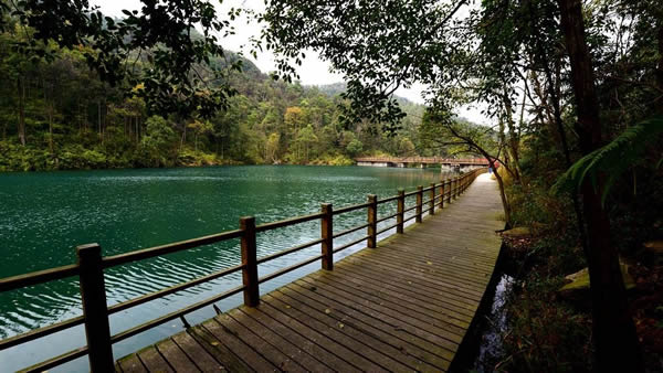 五一旅游王子山森林公园寻幽探秘