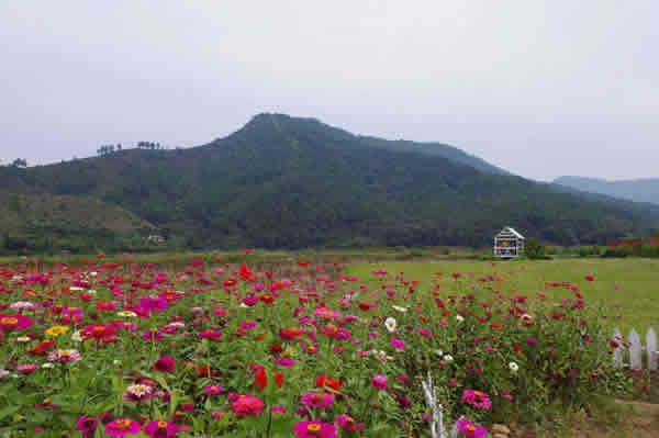 五一纯生态景点从化响水峡一日游