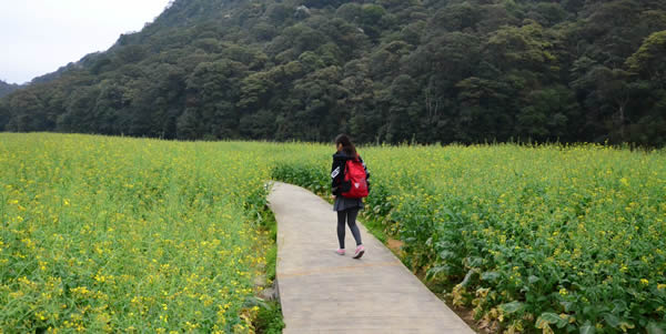 五一小长假到石门公园光五色花海