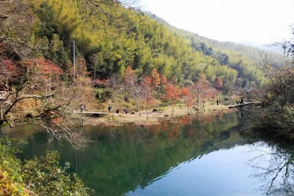广州一日游到从化溪头村观赏李花吧！