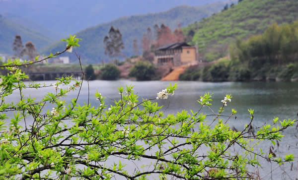 五一小长假旅游到从化溪头村吃豆腐花
