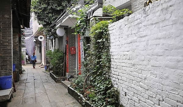 广东省历史文化名城保护村小洲村旅游攻略