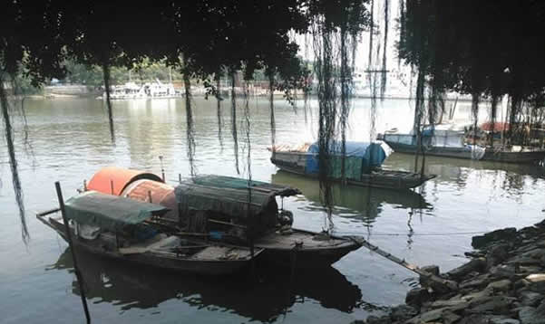 黄埔长洲岛：广州海丝之路的起点