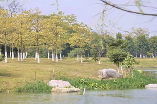7月份旅游去哪里好 广州白云湖好玩吗