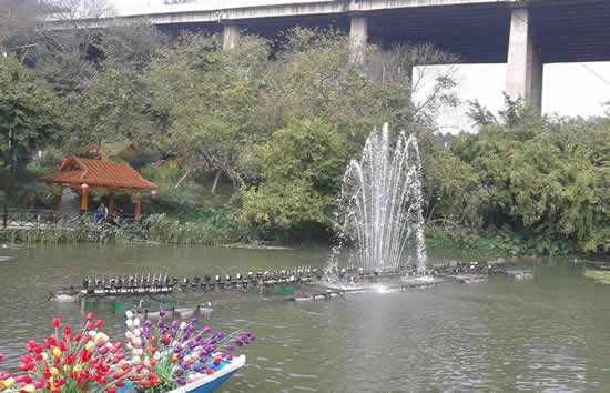 七月去哪里旅游最好 广州白云山好玩吗