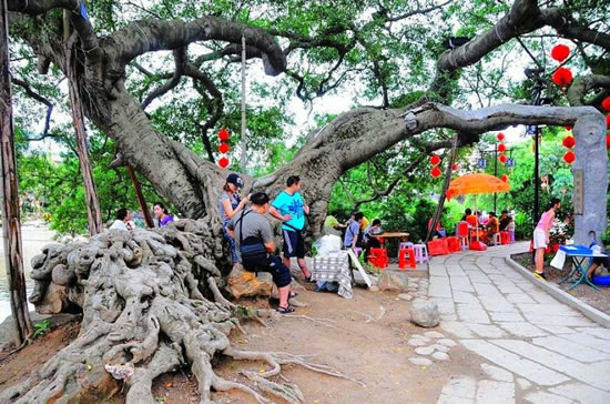 广州一日游到小洲村感受岭南水乡气息