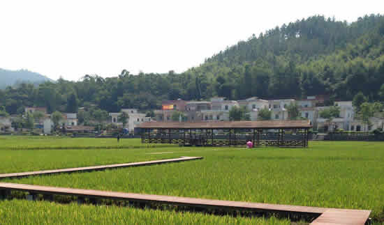 七月广州最美乡村红山村一日游攻略