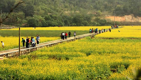 7月周末广州一日游景点红山村旅游攻略