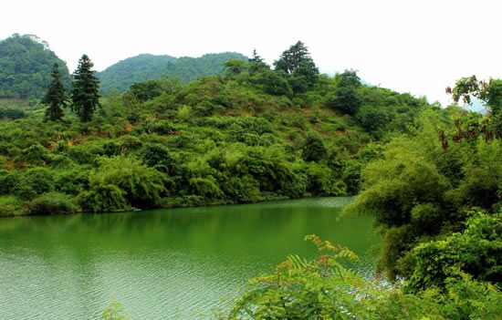 南粤最美乡村广州从化溪头村一日游