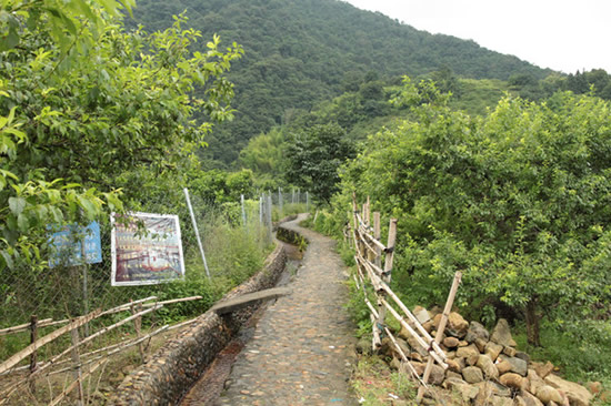 广州从化溪头村暑期休闲一日游攻略