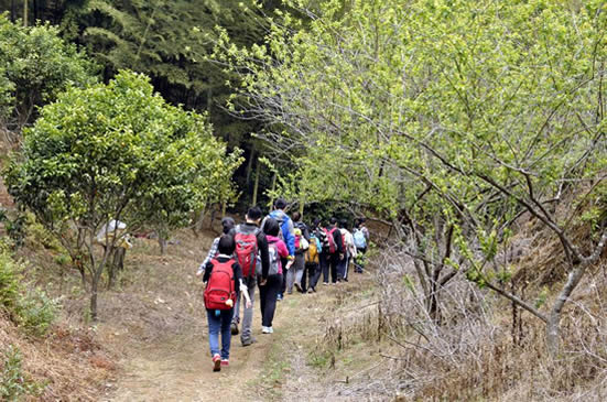 广州从化溪头村夏日消暑一日游攻略