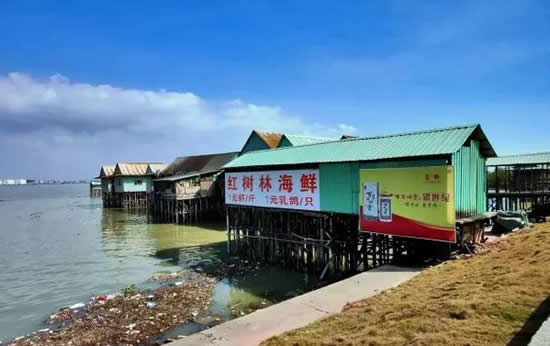 广州番禺绿色原生态岛海鸥岛一日游