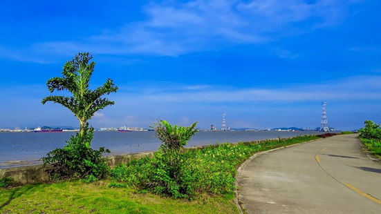广州一日游景点番禺海鸥岛有没有海鸥
