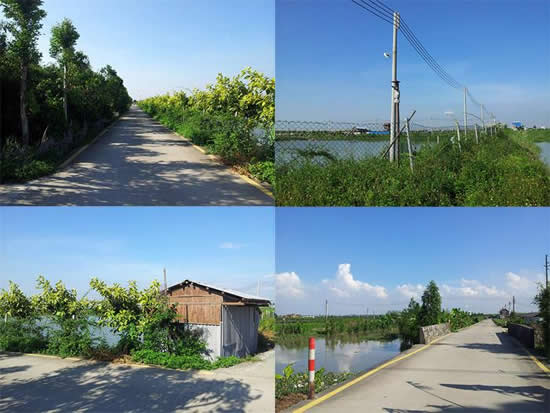 广州七月番禺海鸥岛休闲一日游攻略
