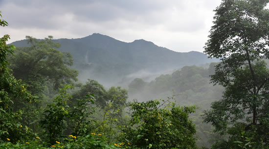 广州一日游到白云山访寻虎跑泉