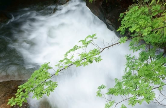 七夕广州增城白水寨风景区有哪些好玩的