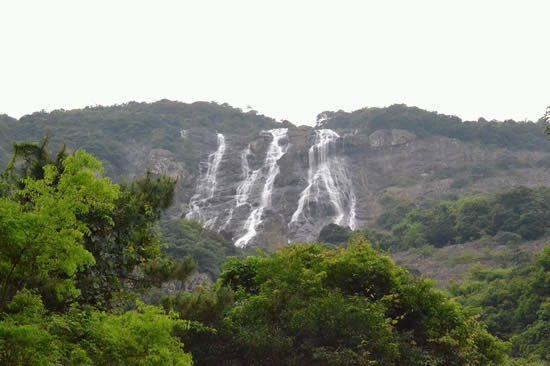 广州一日游到白水寨游山玩水摘果子