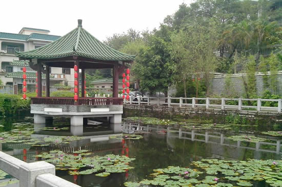 广州一日游探讨黄埔古港与鸦片战争