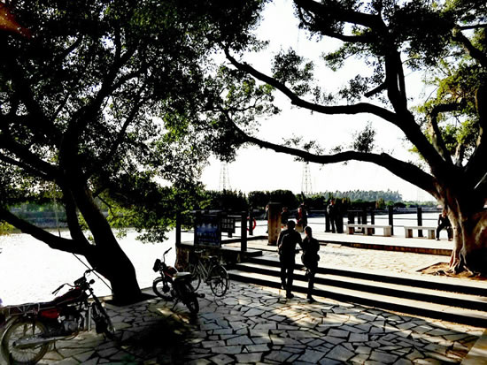 广州黄浦区暑期一日亲子游攻略