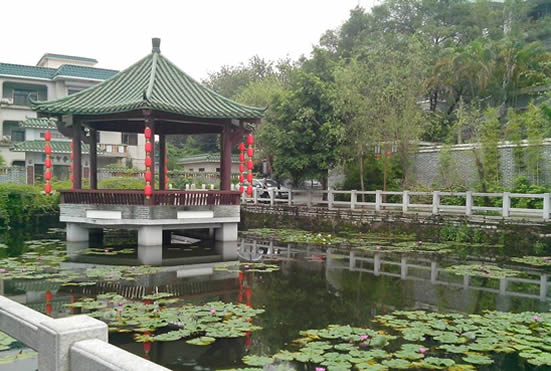 广州一日游到黄埔古港访寻古建筑和古祠堂