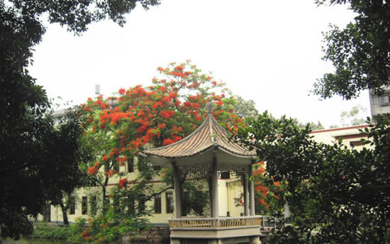 广州一日游到黄埔古港访寻日本印记