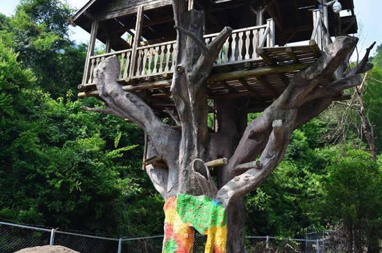 秋季旅游到广州增城白水寨游山玩水