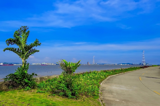 世外桃源广州番禺海鸥岛一日游