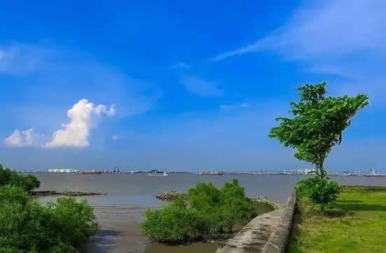 广州一日游到海鸥岛品尝美食
