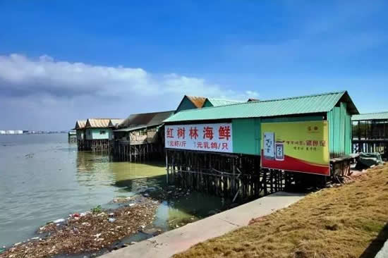 广州一日游到番禺海鸥岛钓鱼虾蟹