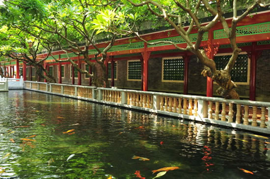 广州一日游到小洲村访寻小桥流水