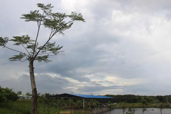 广州人度假胜地番禺海鸥岛一日游