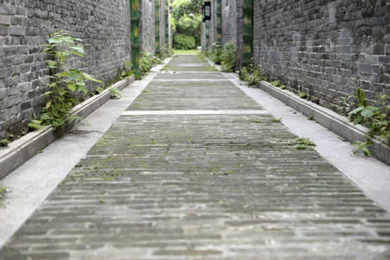 到聚龙村探讨古代原始房地产开发模式