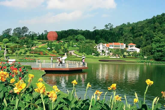 广州市区的森林浴场白云山风景区