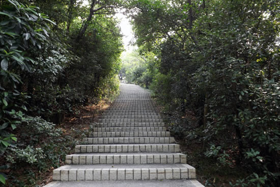 广州白云山风景区的历史进程探秘