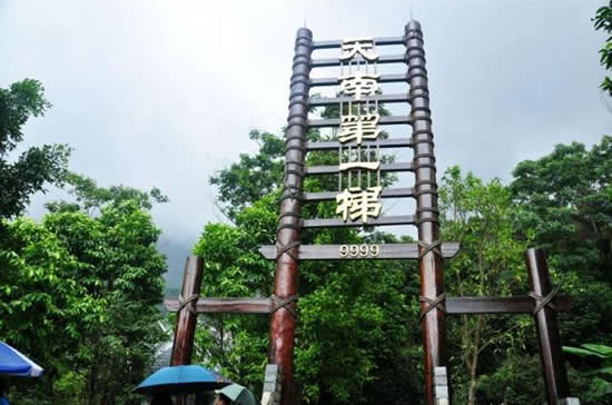 国庆增城白水寨低碳健康一日游