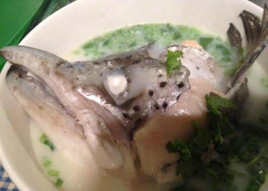 三文鱼骨豆腐香菜汤你喝过了吗