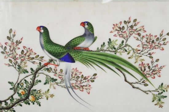 通草画的制作过程揭秘