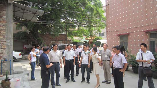 广州一日游到江高镇访寻清朝中期青砖