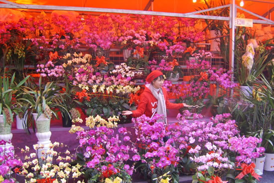 2018年广州春节花城赏花小贴士