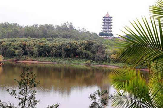 2018年春节广州番禺一日旅游攻略