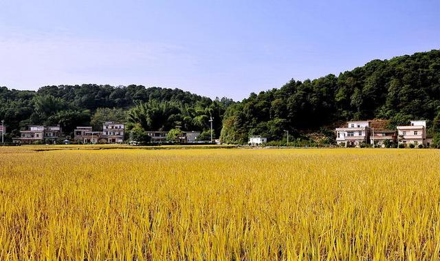 红山村