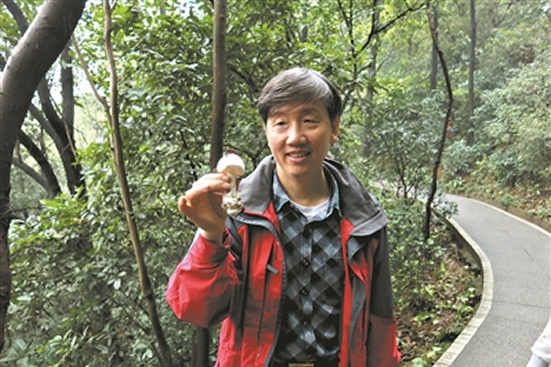 新物种毒蘑菇致命鹅膏命名者李泰辉