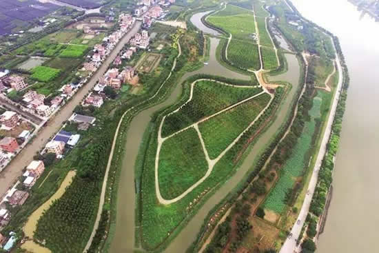 清明踏春去哪里？番禺这4个湿地公园免费开放啦！