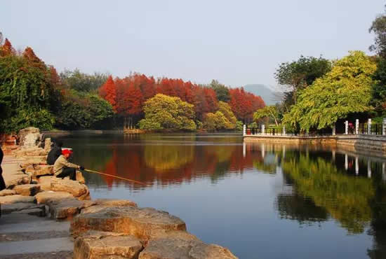 广州曾经有三湖：沉夜湖、莼湖和芝兰湖