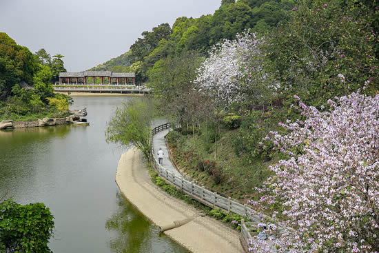 广州帽峰山森林公园四月自驾游攻略